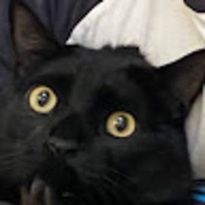 Meet your Posher, Nick